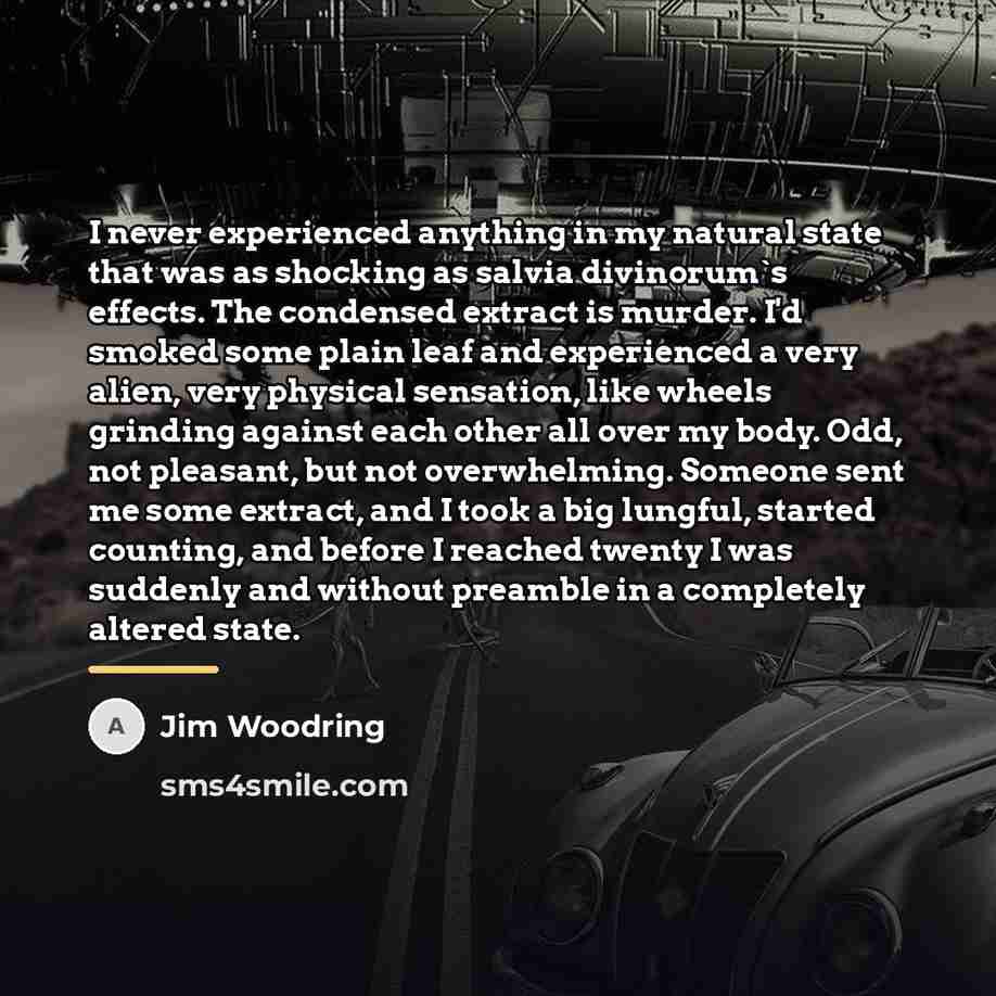 “I never experienced anything in my natural state that was…” quote by Jim Woodring