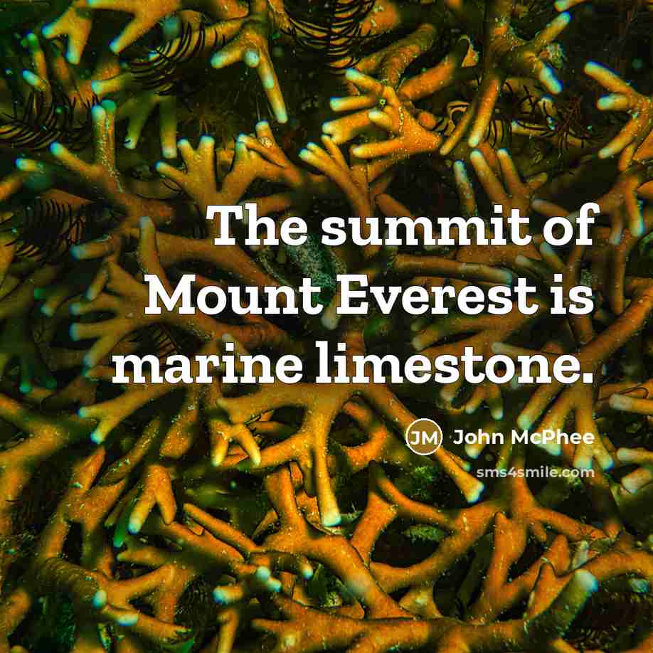 “The summit of Mount Everest is marine limestone.…” quote by John McPhee