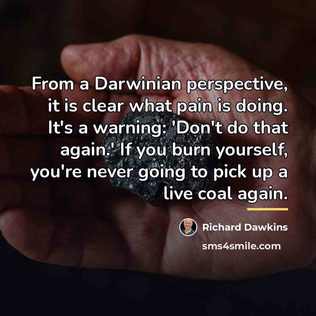 “From a Darwinian perspective, it is clear what pain is…” quote by Richard Dawkins