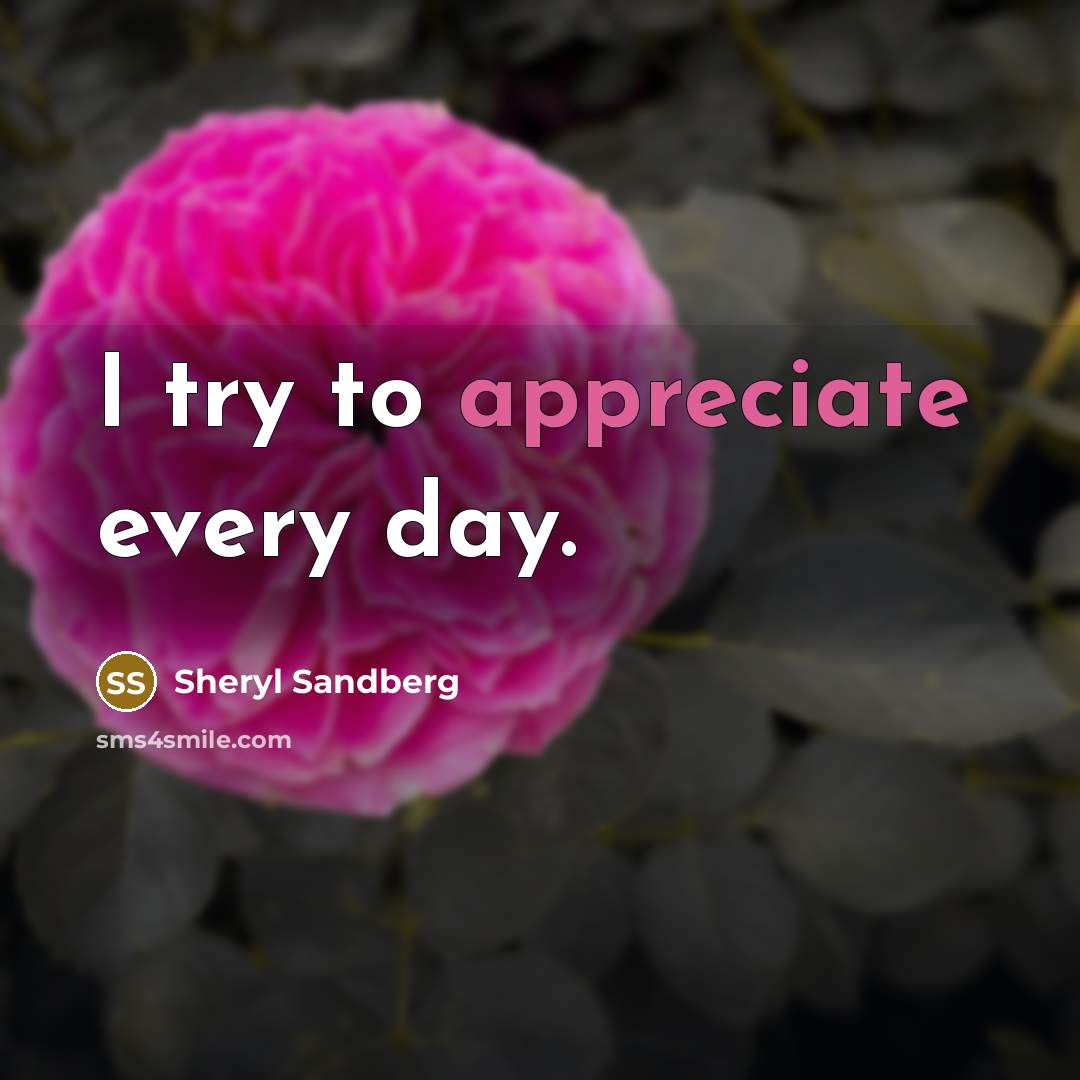 “I try to appreciate every day.…” quote by Sheryl Sandberg