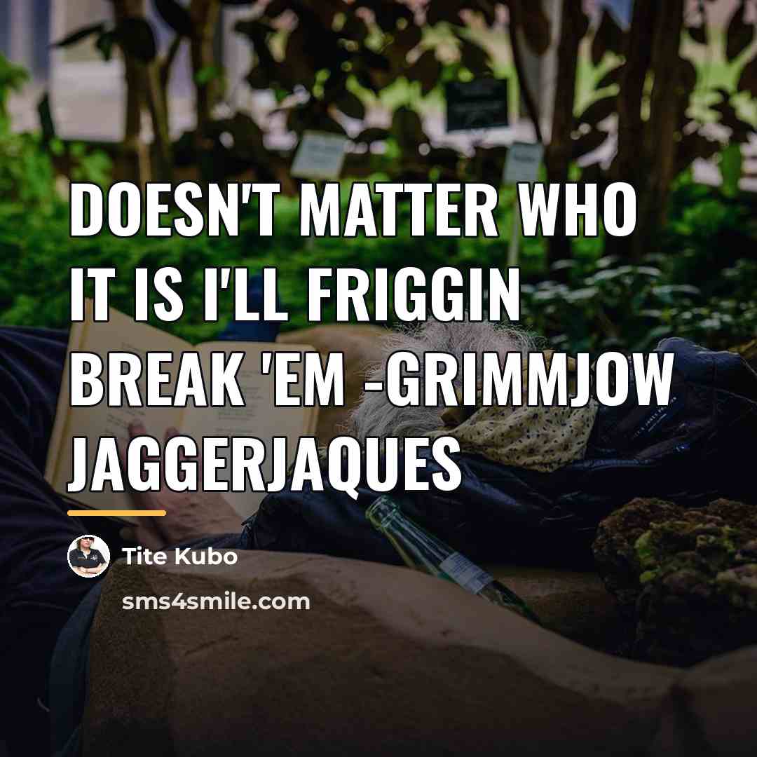 “Doesn't matter who it is I'll friggin break 'em -Grimmjow…” quote by Tite Kubo