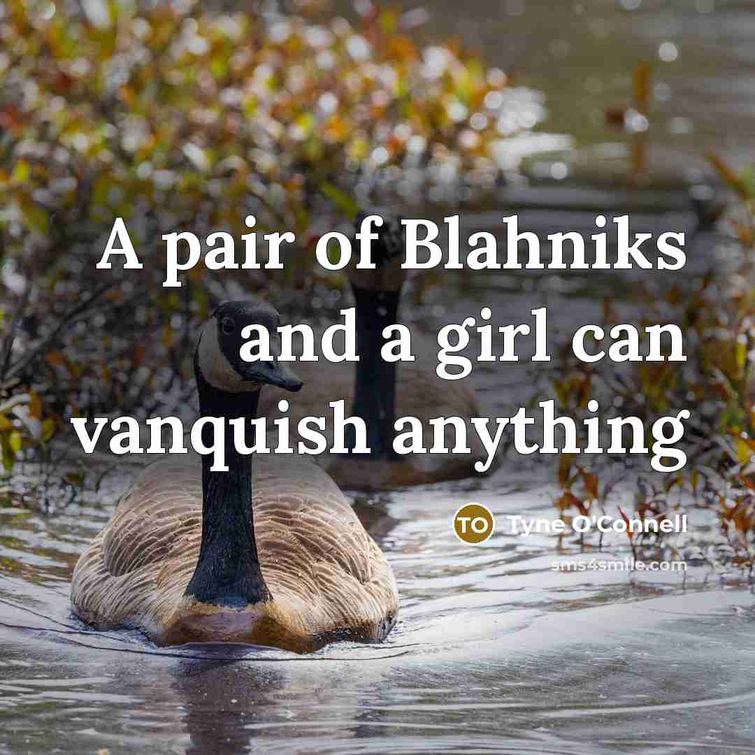 “A pair of Blahniks and a girl can vanquish anything…” quote by Tyne O'Connell
