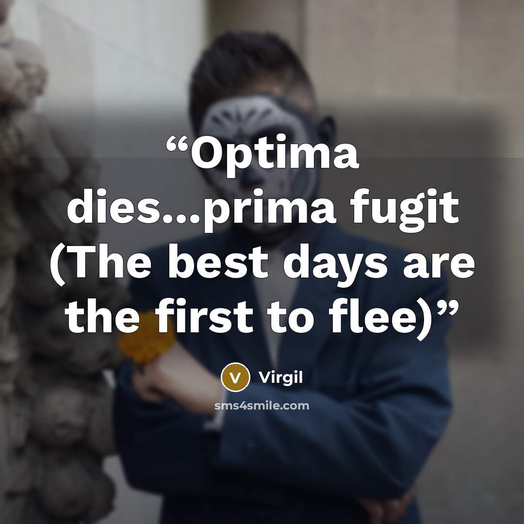 “Optima dies...prima fugit (The best days are the first to flee)” quote by Virgil
