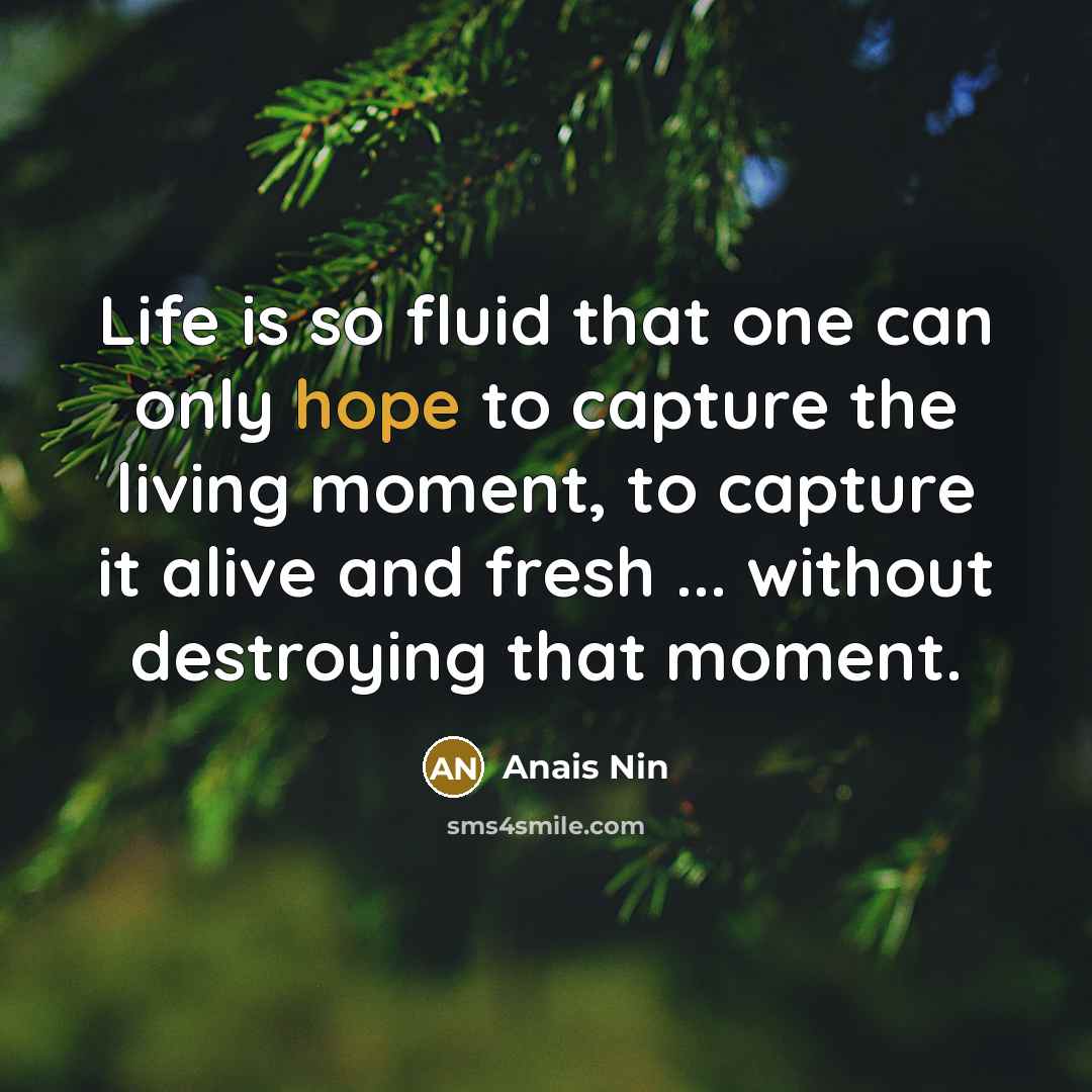 “Life is so fluid that one can only hope to…” quote by Anais Nin