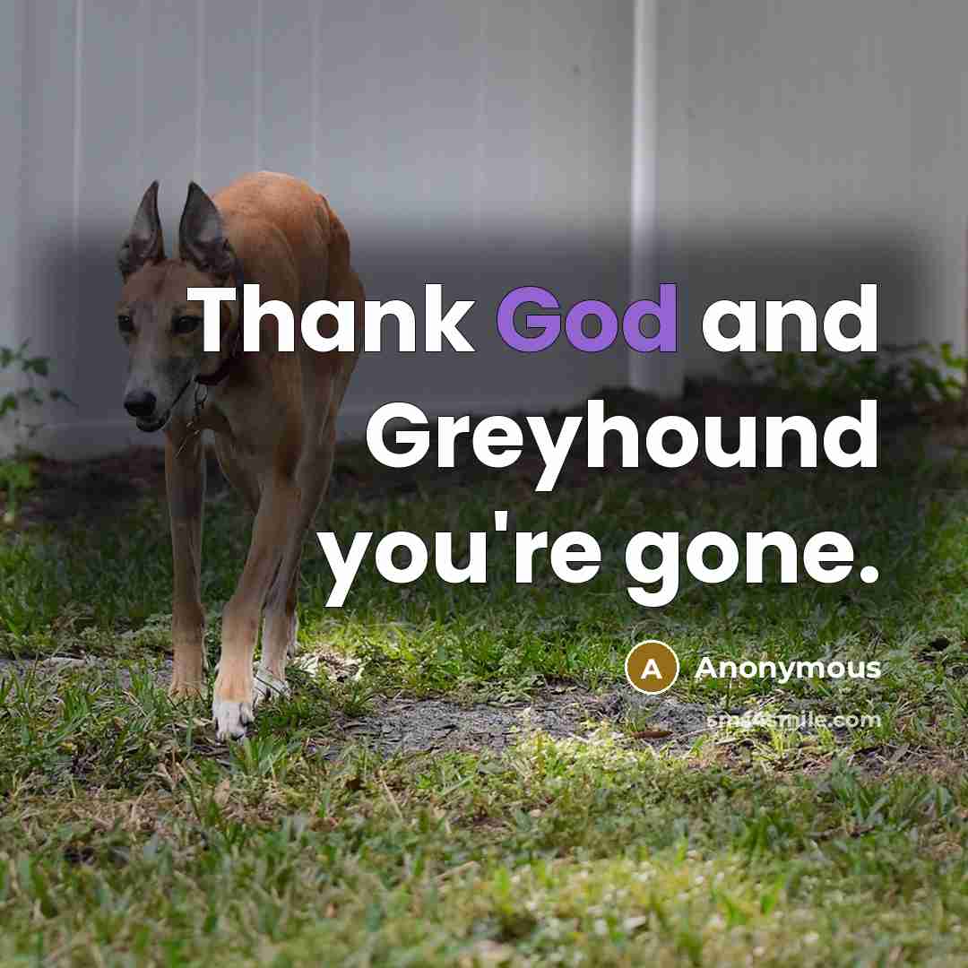 “Thank God and Greyhound you're gone.” quote by Anonymous