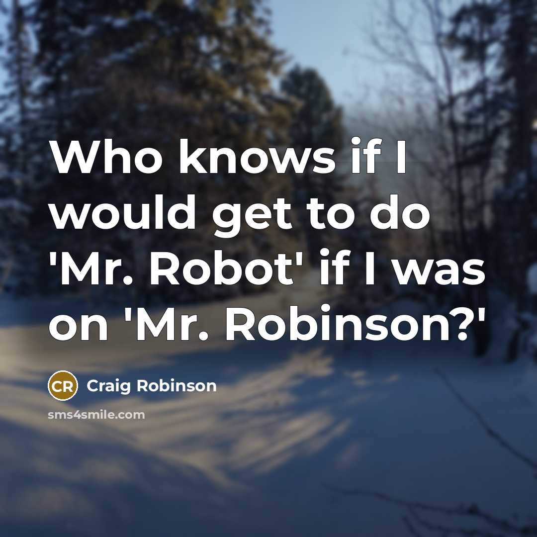 “Who knows if I would get to do 'Mr. Robot'…” quote by Craig Robinson