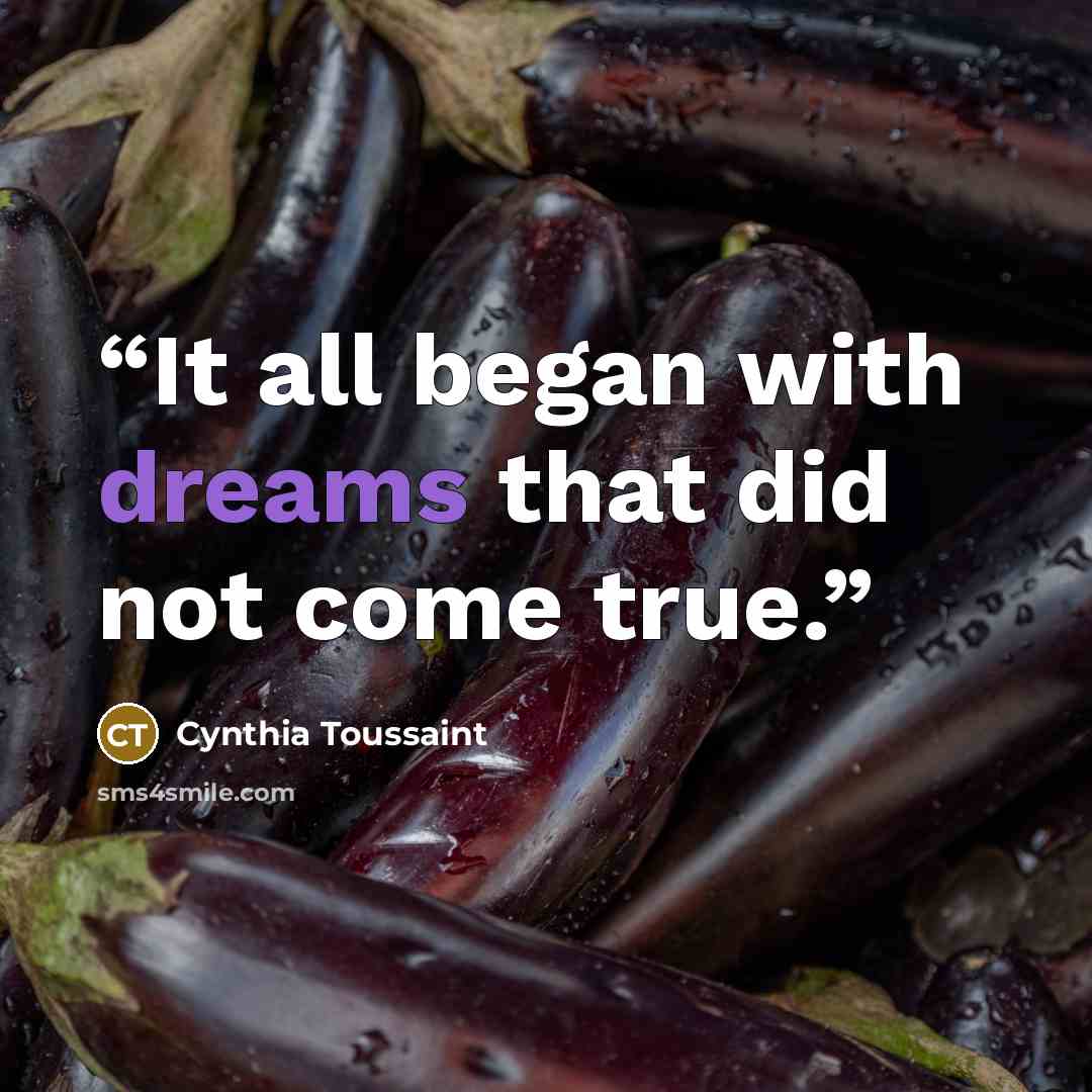 “It all began with dreams that did not come true.” quote by Cynthia Toussaint