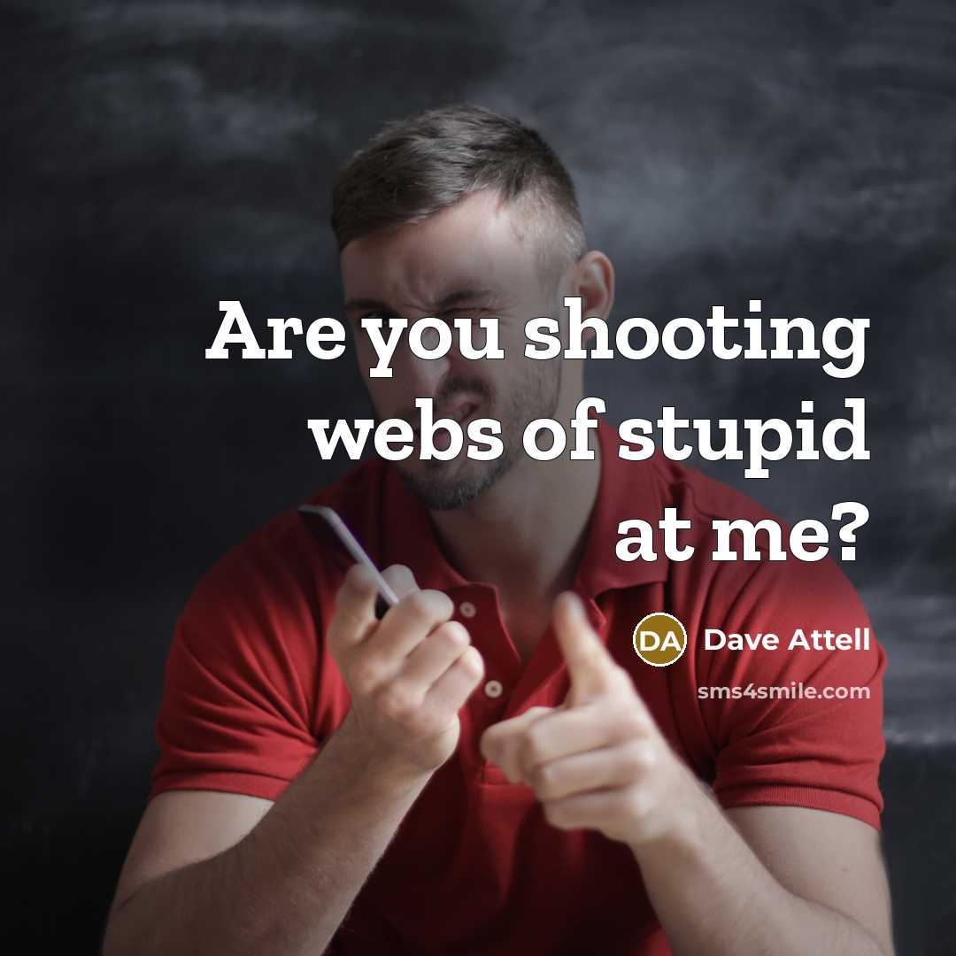 “Are you shooting webs of stupid at me?…” quote by Dave Attell