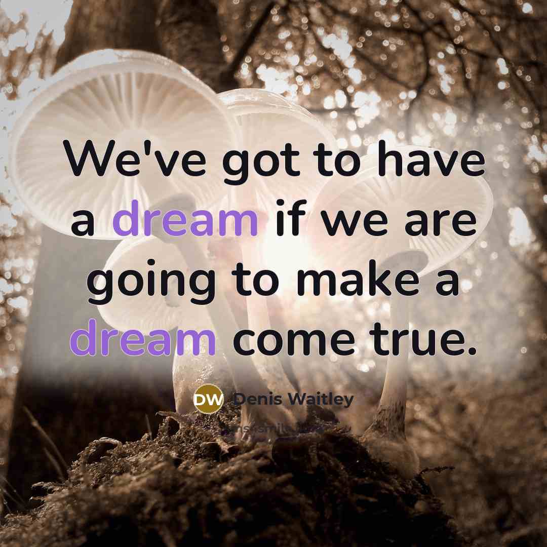 “We've got to have a dream if we are going…” quote by Denis Waitley