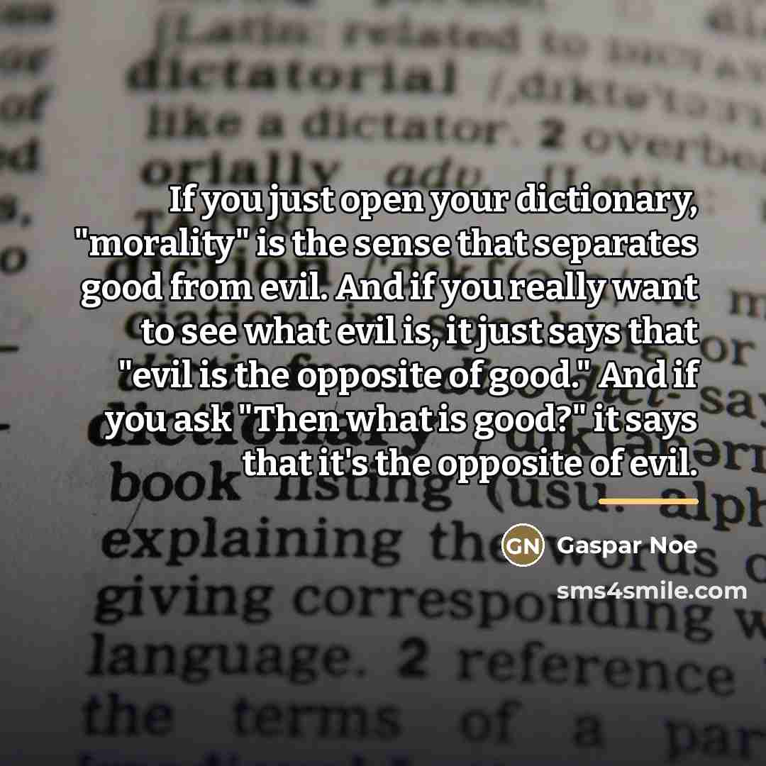 “If you just open your dictionary, "morality" is the sense…” quote by Gaspar Noe