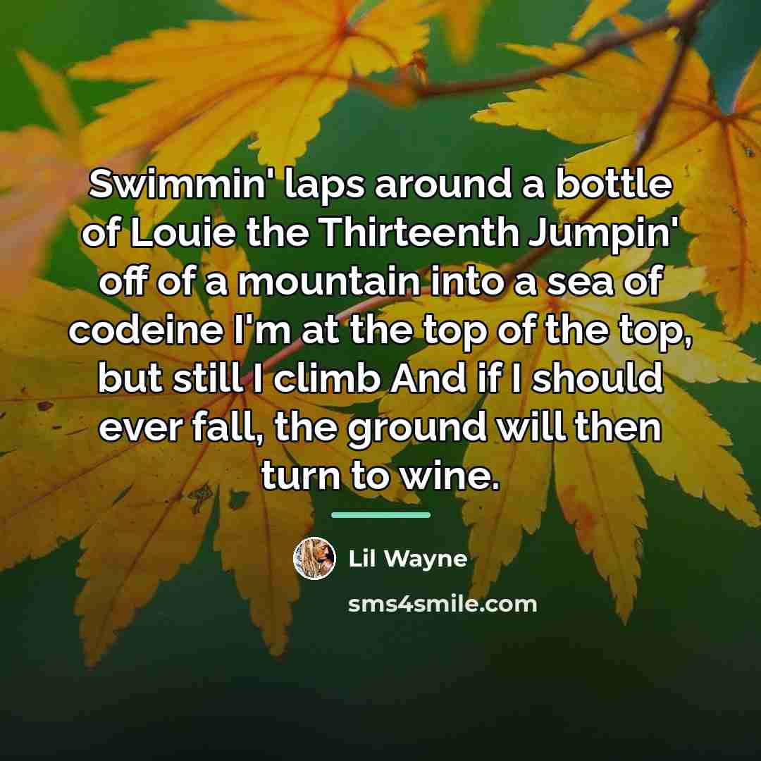 “Swimmin' laps around a bottle of Louie the Thirteenth Jumpin'…” quote by Lil Wayne