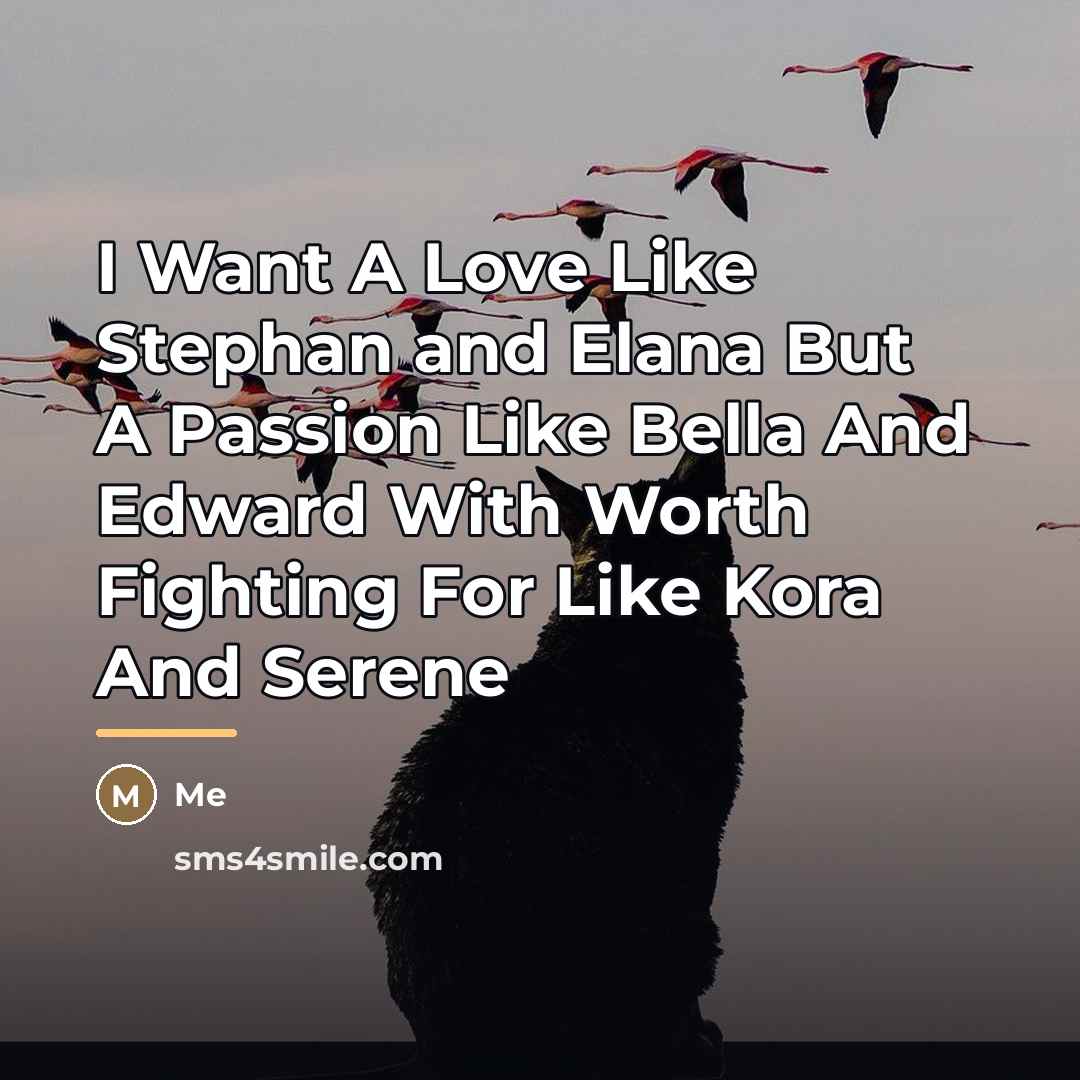 “I Want A Love Like Stephan and Elana But A…” quote by Me