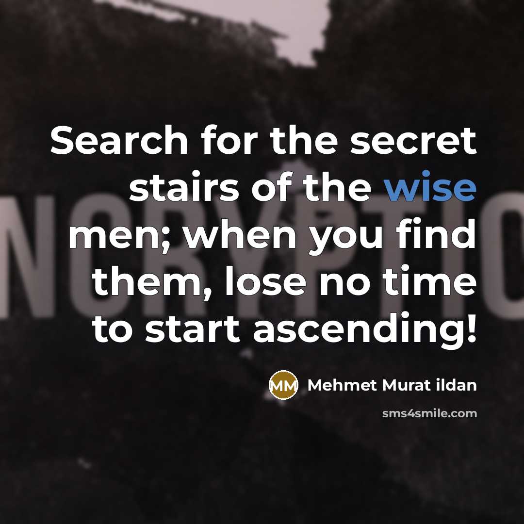 “Search for the secret stairs of the wise men; when…” quote by Mehmet Murat Ildan