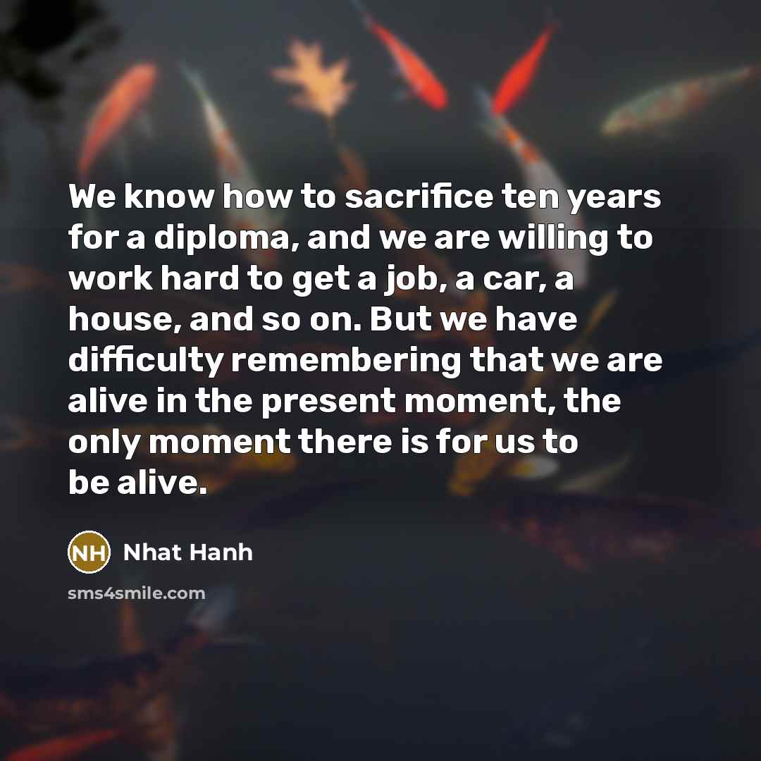 “We know how to sacrifice ten years for a diploma,…” quote by Nhat Hanh