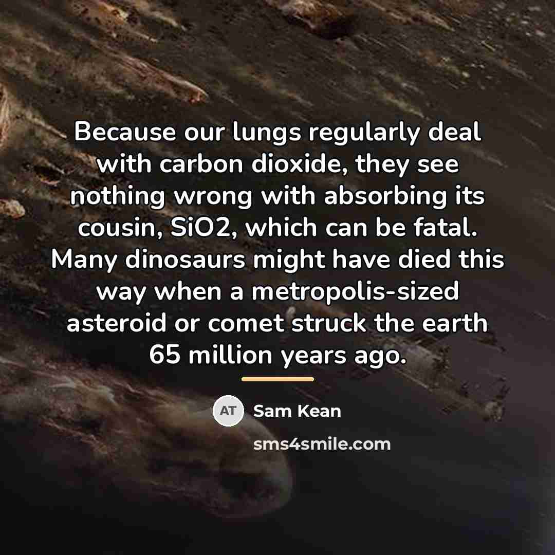 “Because our lungs regularly deal with carbon dioxide, they see…” quote by Sam Kean