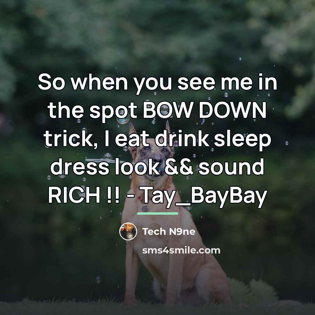 “So when you see me in the spot BOW DOWN…” quote by Tech N9ne