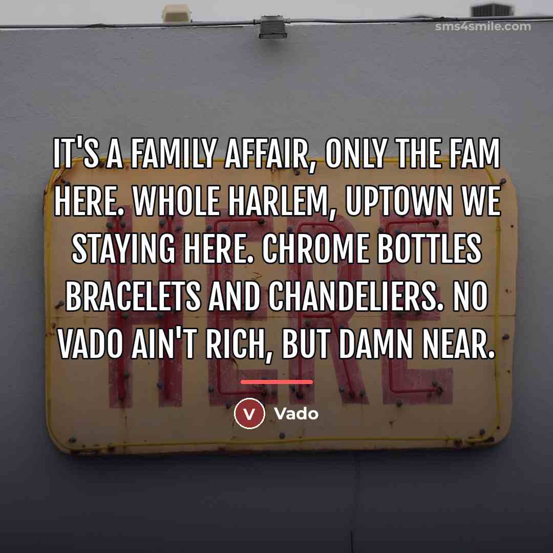 “It's a family affair, only the fam here. Whole Harlem,…” quote by Vado