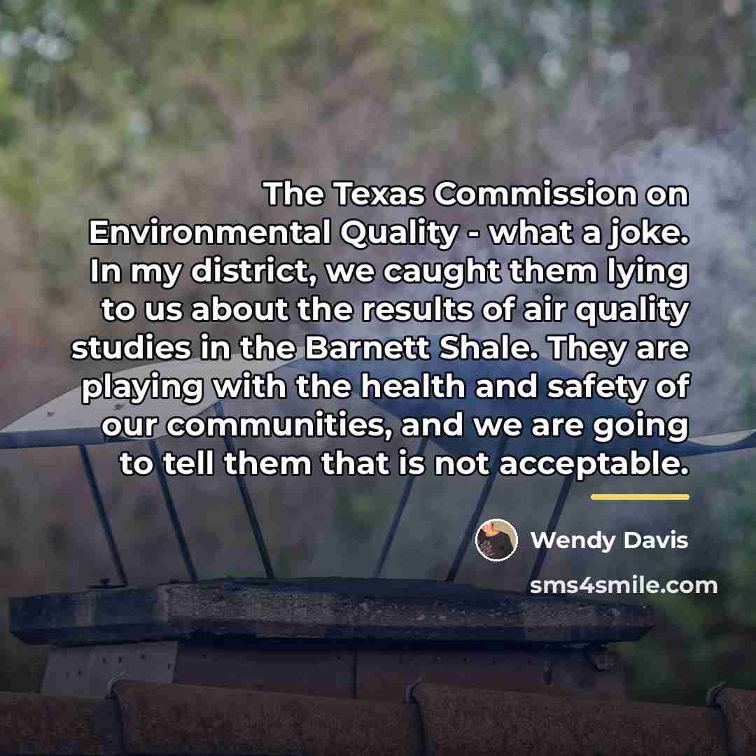 “The Texas Commission on Environmental Quality - what a joke.…” quote by Wendy Davis