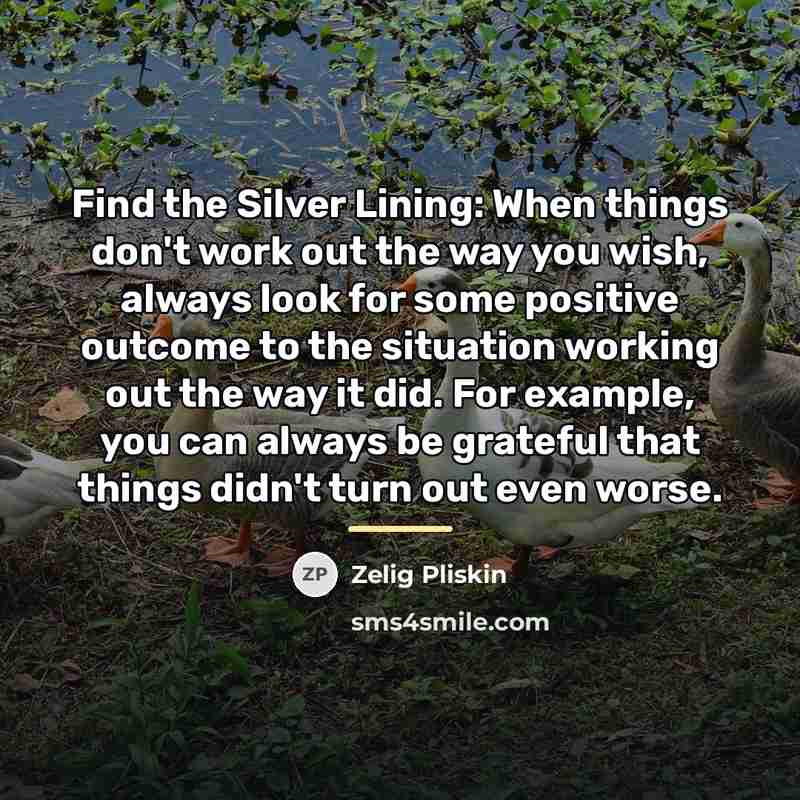 “Find the Silver Lining: When things don't work out the…” quote by Zelig Pliskin