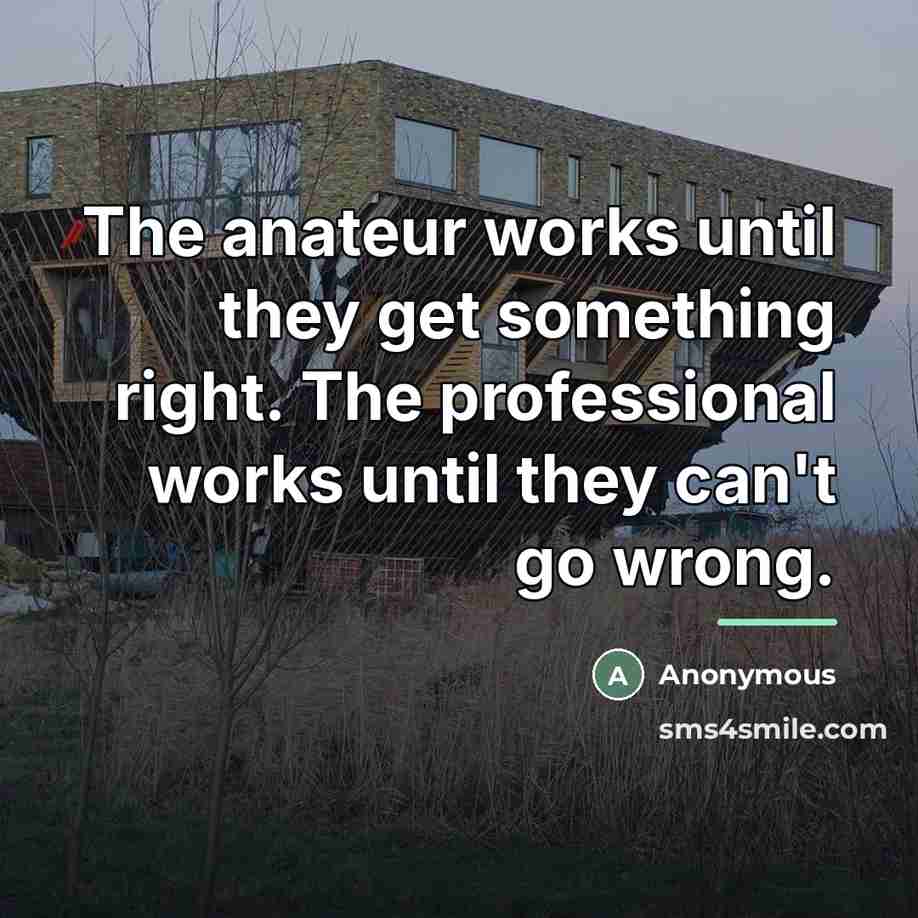 “The anateur works until they get something right. The professional…” quote by Anonymous