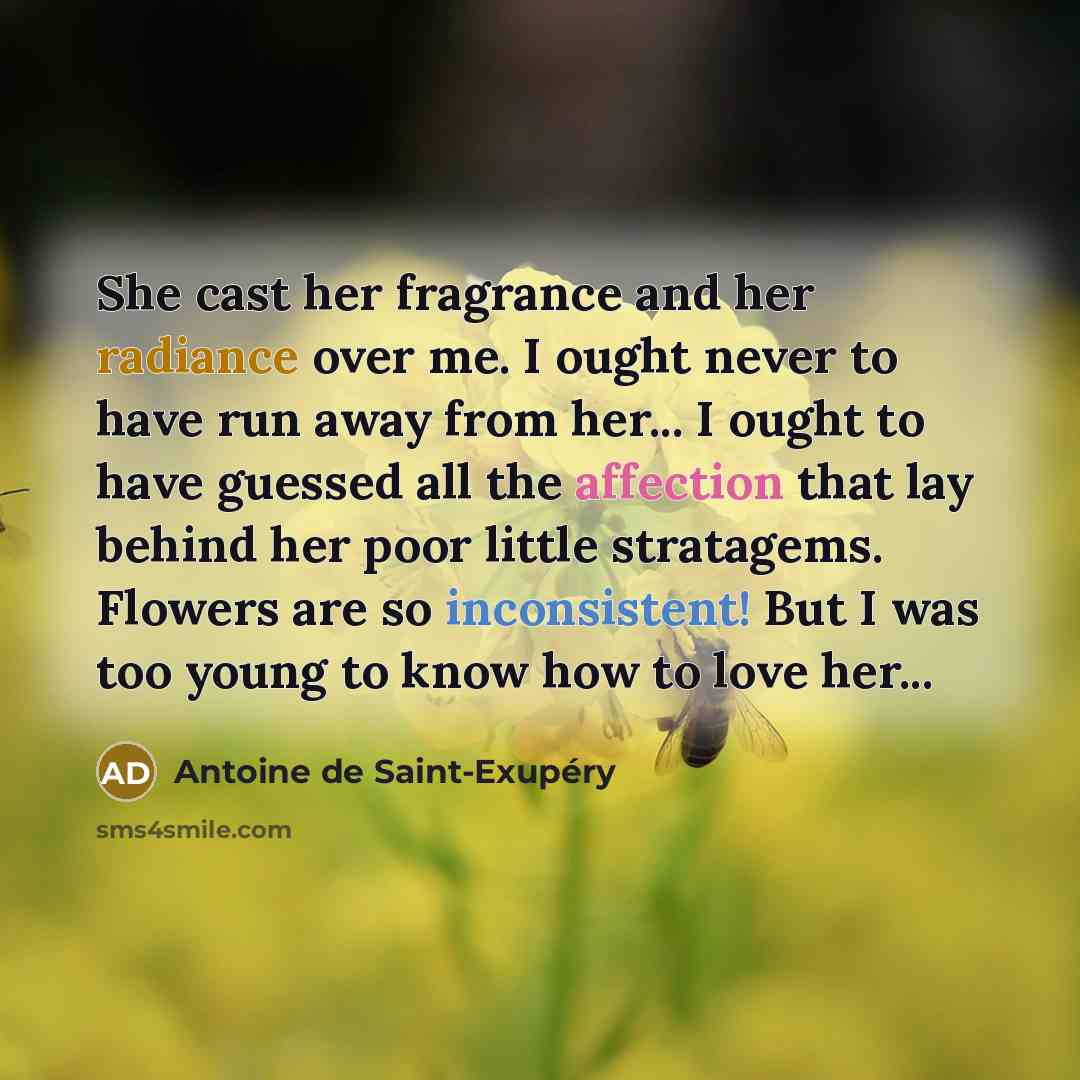 “She cast her fragrance and her radiance over me. I…” quote by Antoine de Saint-Exupery