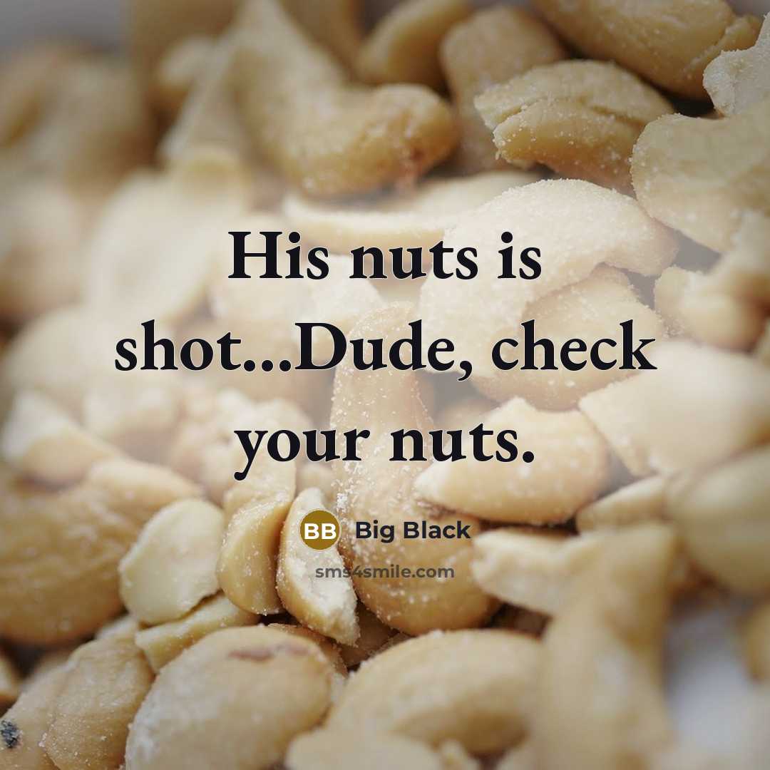 “His nuts is shot...Dude, check your nuts.” quote by Big Black