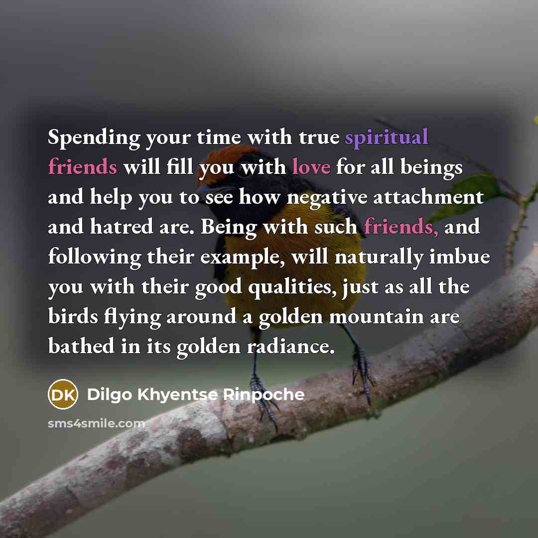 “Spending your time with true spiritual friends will fill you…” quote by Dilgo Khyentse Rinpoche