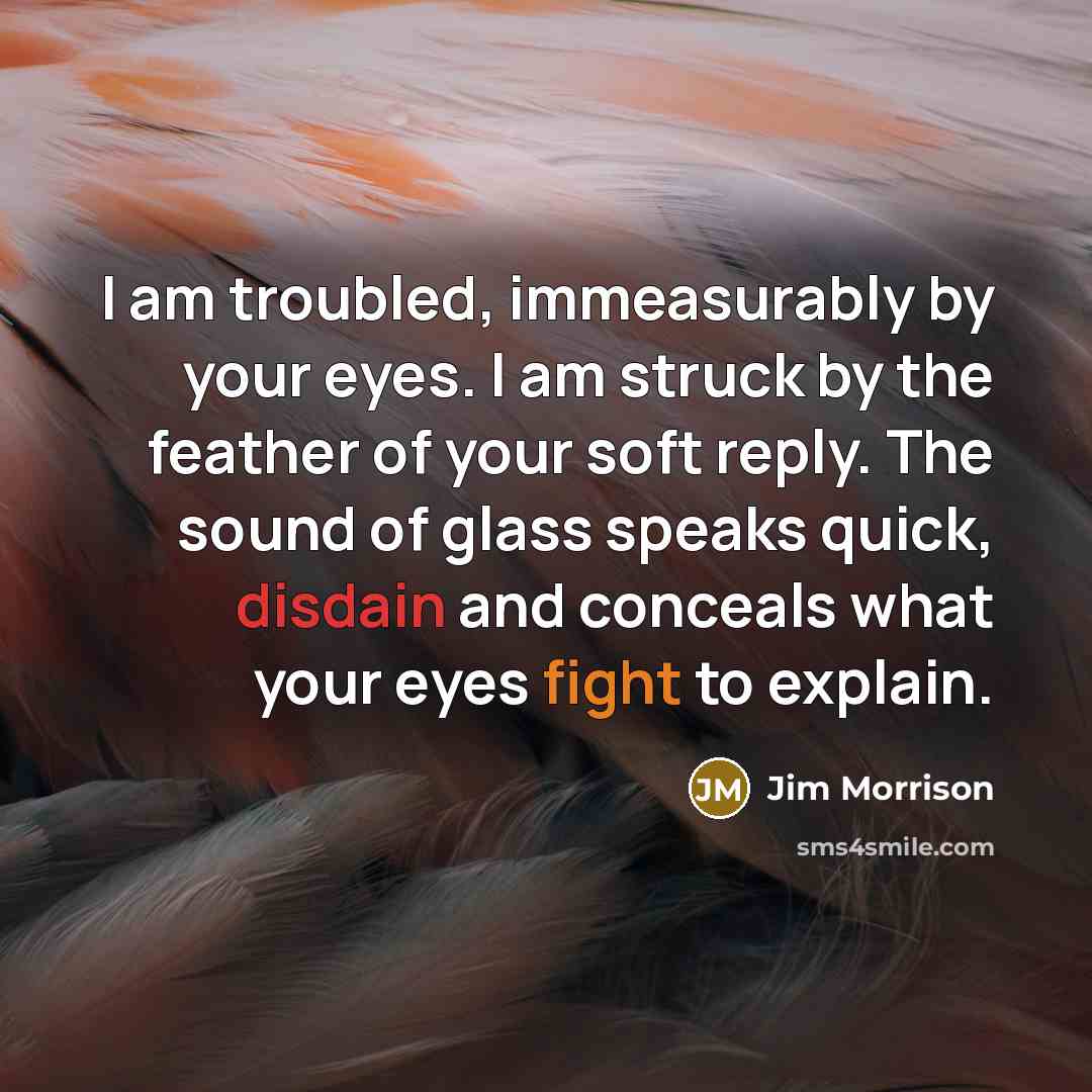 “I am troubled, immeasurably by your eyes. I am struck…” quote by Jim Morrison