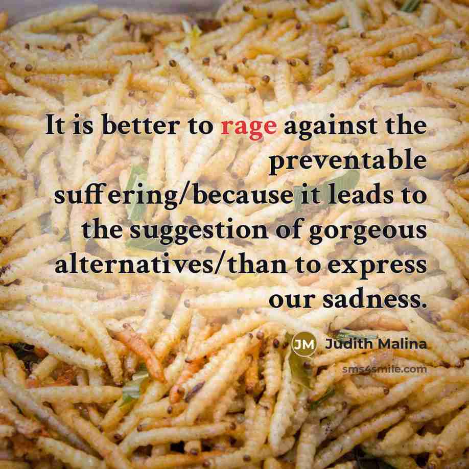 “It is better to rage against the preventable suffering/because it…” quote by Judith Malina