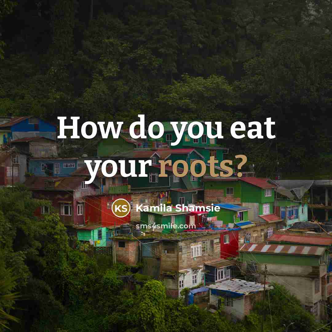 “How do you eat your roots?…” quote by Kamila Shamsie