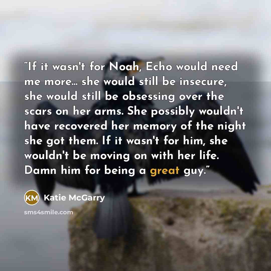 “If it wasn't for Noah, Echo would need me more... she would still be insecure, she would still be obsessing over the scars on her arms. She possibly wouldn't have recovered her memory of the night she got them. If it wasn't for him, she wouldn't be moving on with her life. Damn him for being a…” quote by Katie McGarry