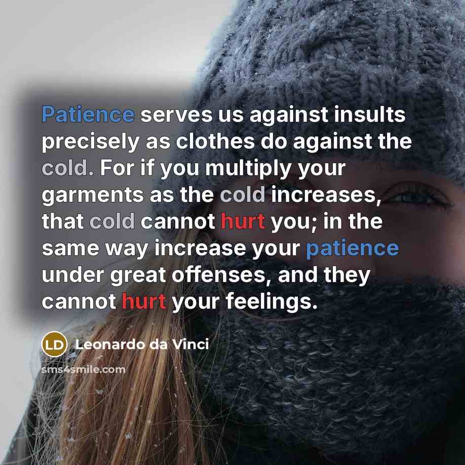 “Patience serves us against insults precisely as clothes do against…” quote by Leonardo da Vinci