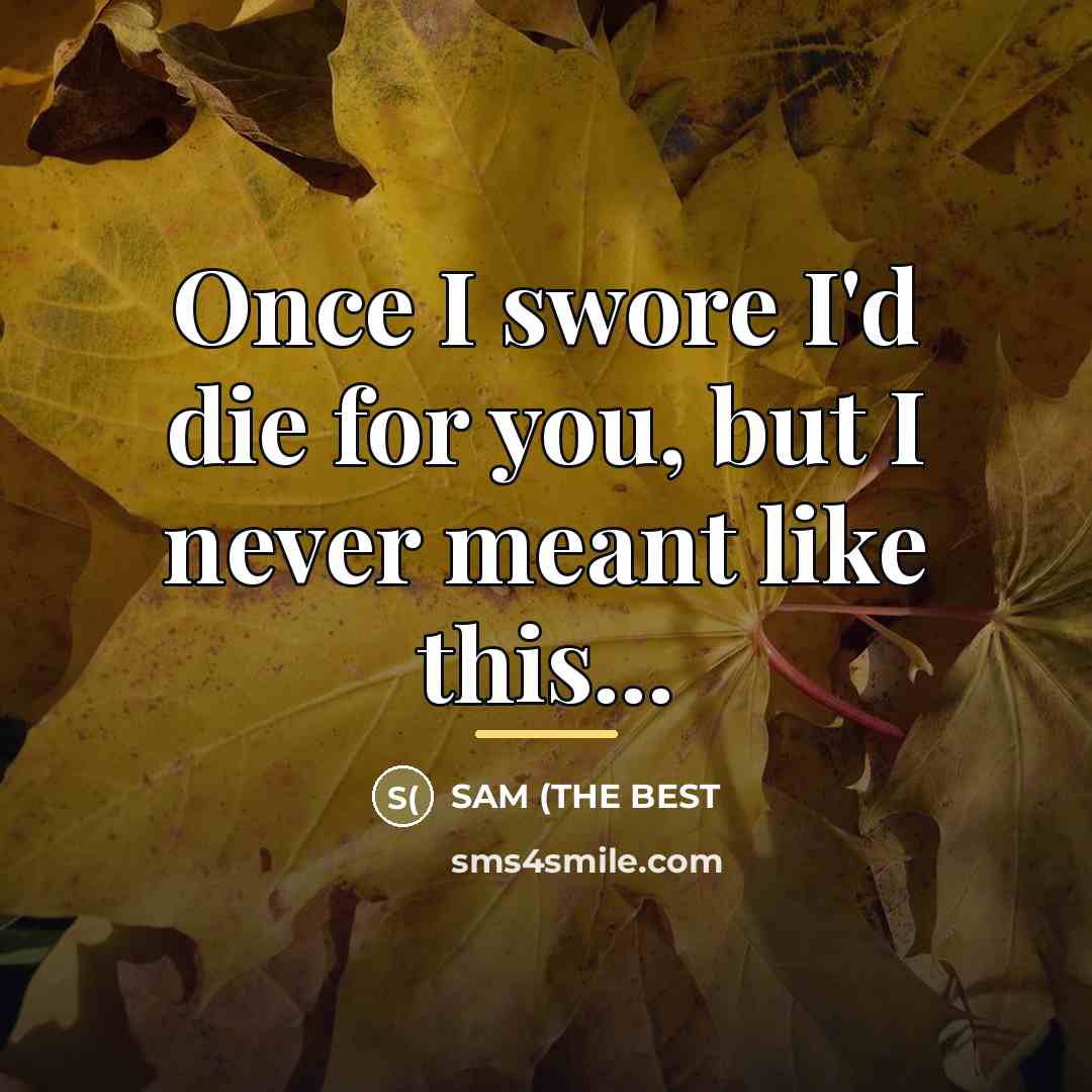 “Once I swore I'd die for you, but I never…” quote by SAM (THE BEST