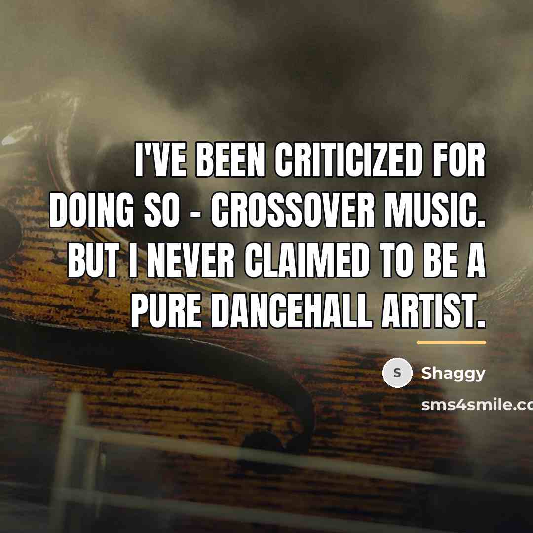 “I've been criticized for doing so - crossover music. But…” quote by Shaggy