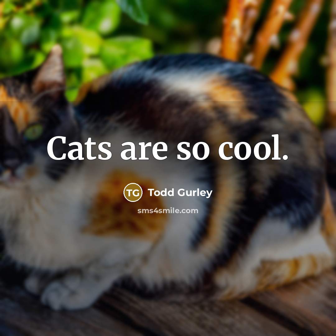 “Cats are so cool.…” quote by Todd Gurley