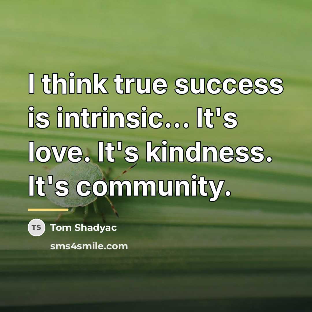 “I think true success is intrinsic... It's love. It's kindness.…” quote by Tom Shadyac