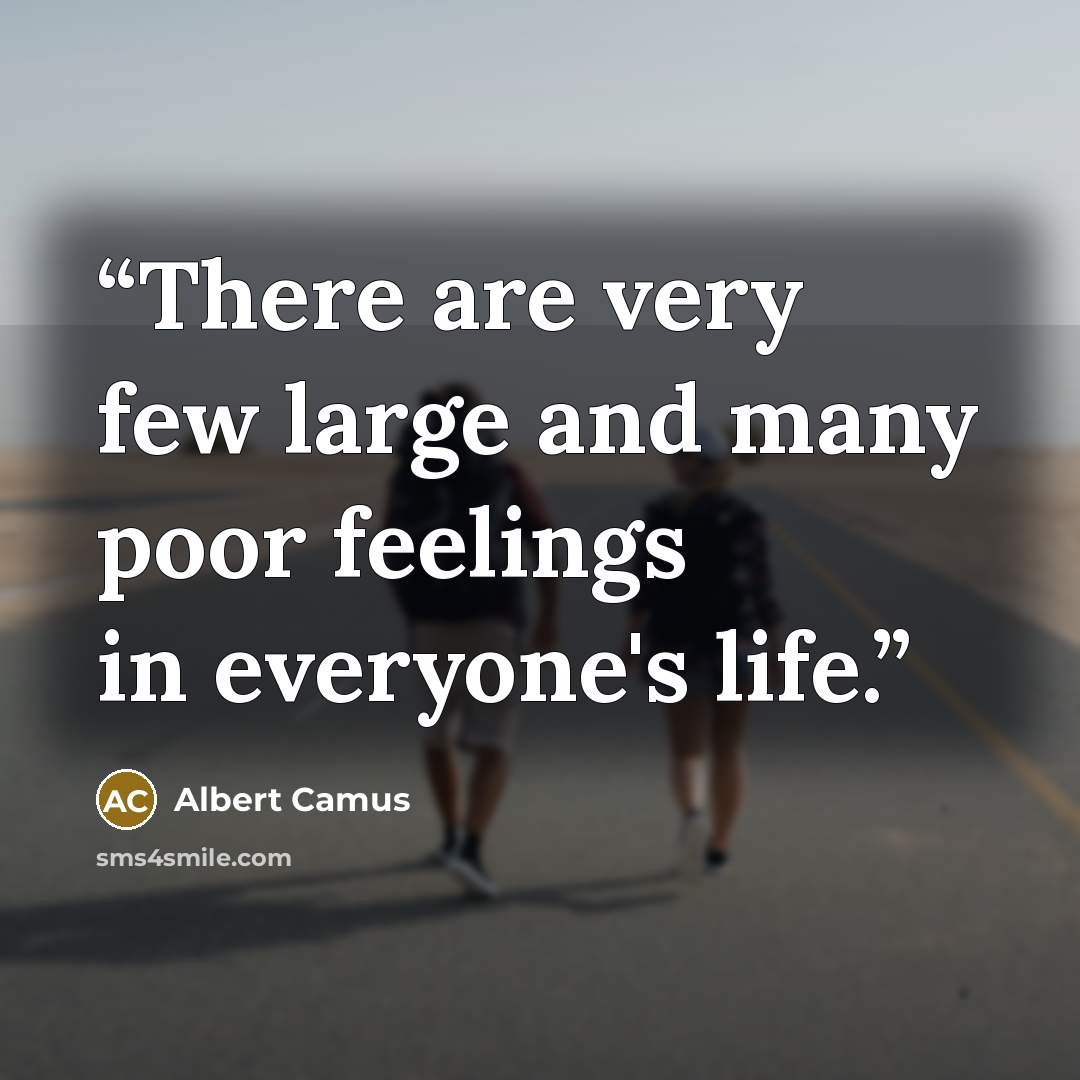 “There are very few large and many poor feelings in everyone's life.” quote by Albert Camus
