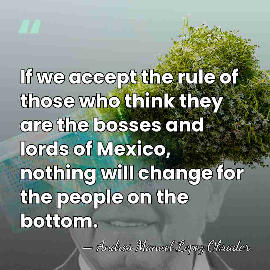 If we accept the rule of those who think they are the&hellip; - Andres Manuel Lopez Obrador