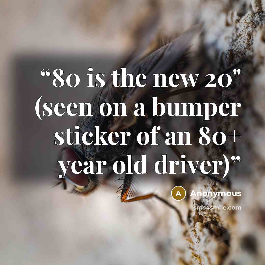 “80 is the new 20" (seen on a bumper sticker of an 80+ year old driver)” quote by Anonymous