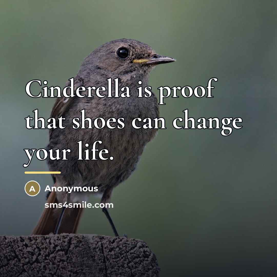 “Cinderella is proof that shoes can change your life.…” quote by Anonymous