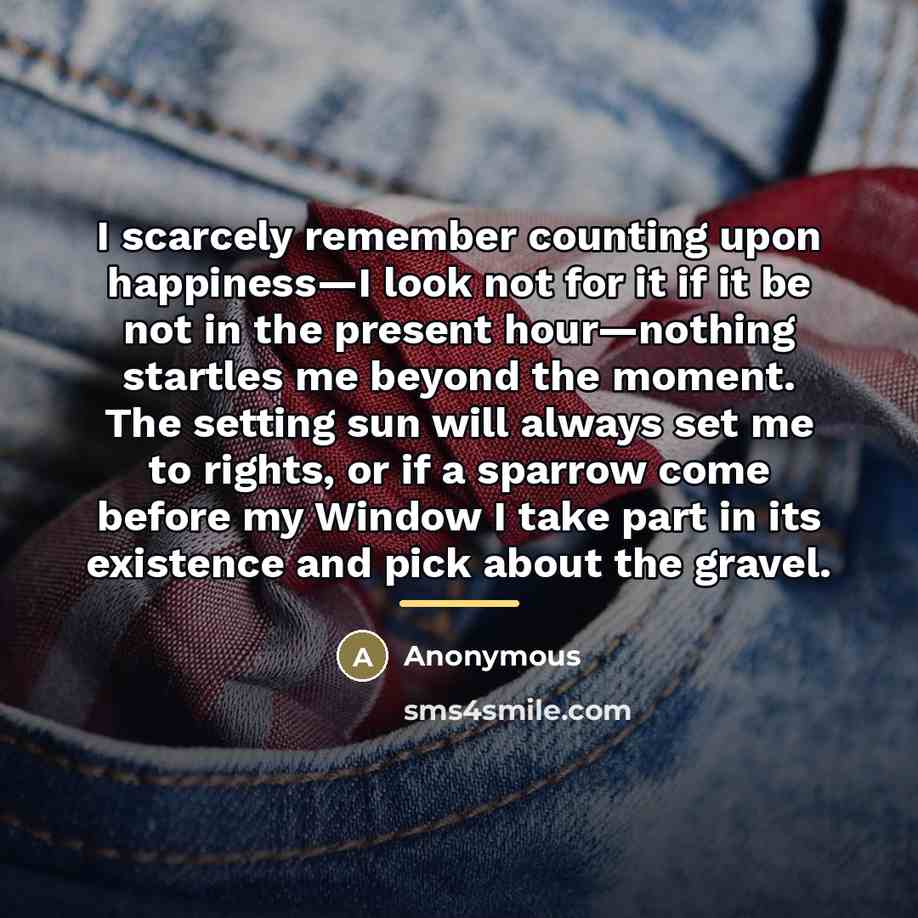 “I scarcely remember counting upon happiness—I look not for it…” quote by Anonymous