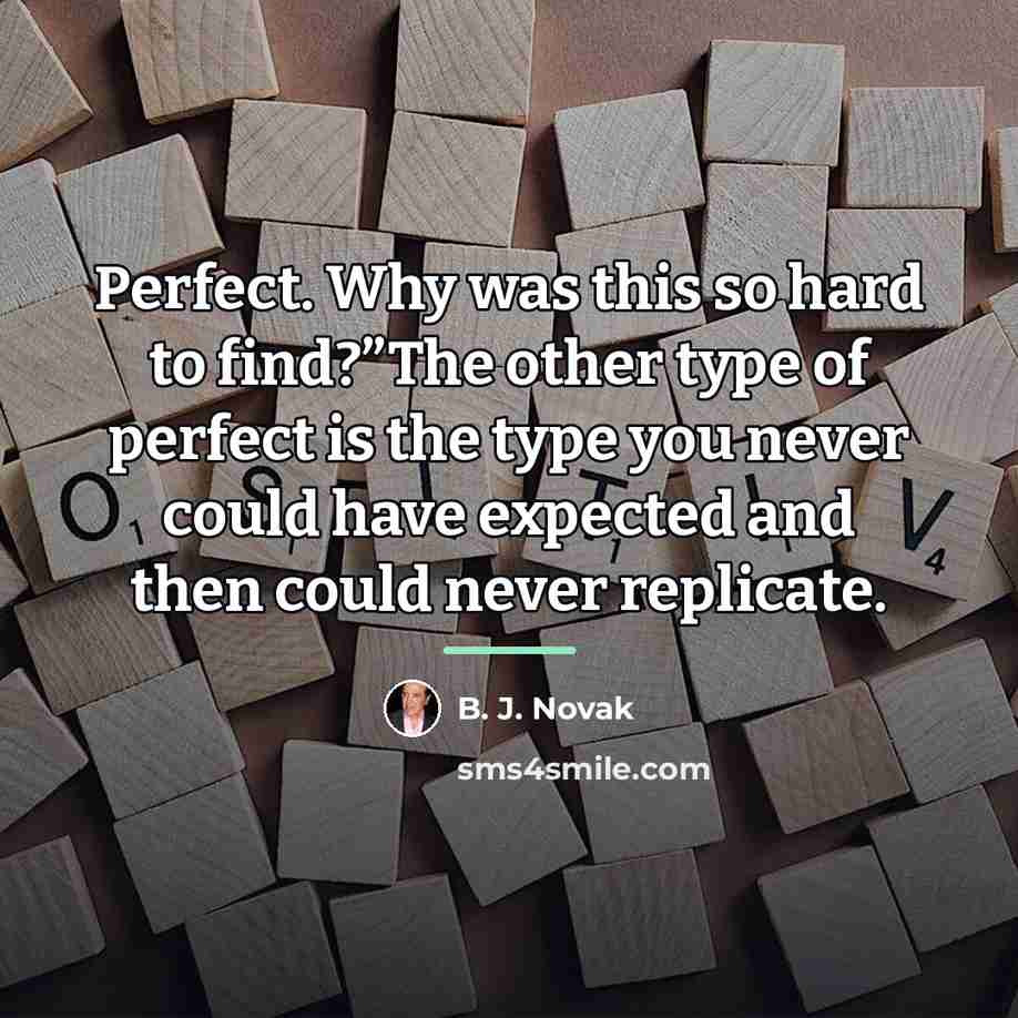 “Perfect. Why was this so hard to find?”The other type…” quote by B. J. Novak