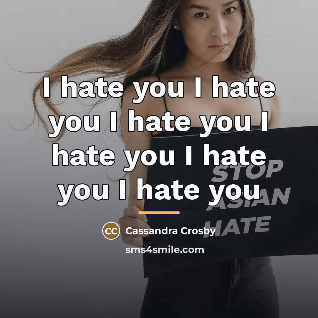 “I hate you I hate you I hate you I…” quote by Cassandra Crosby