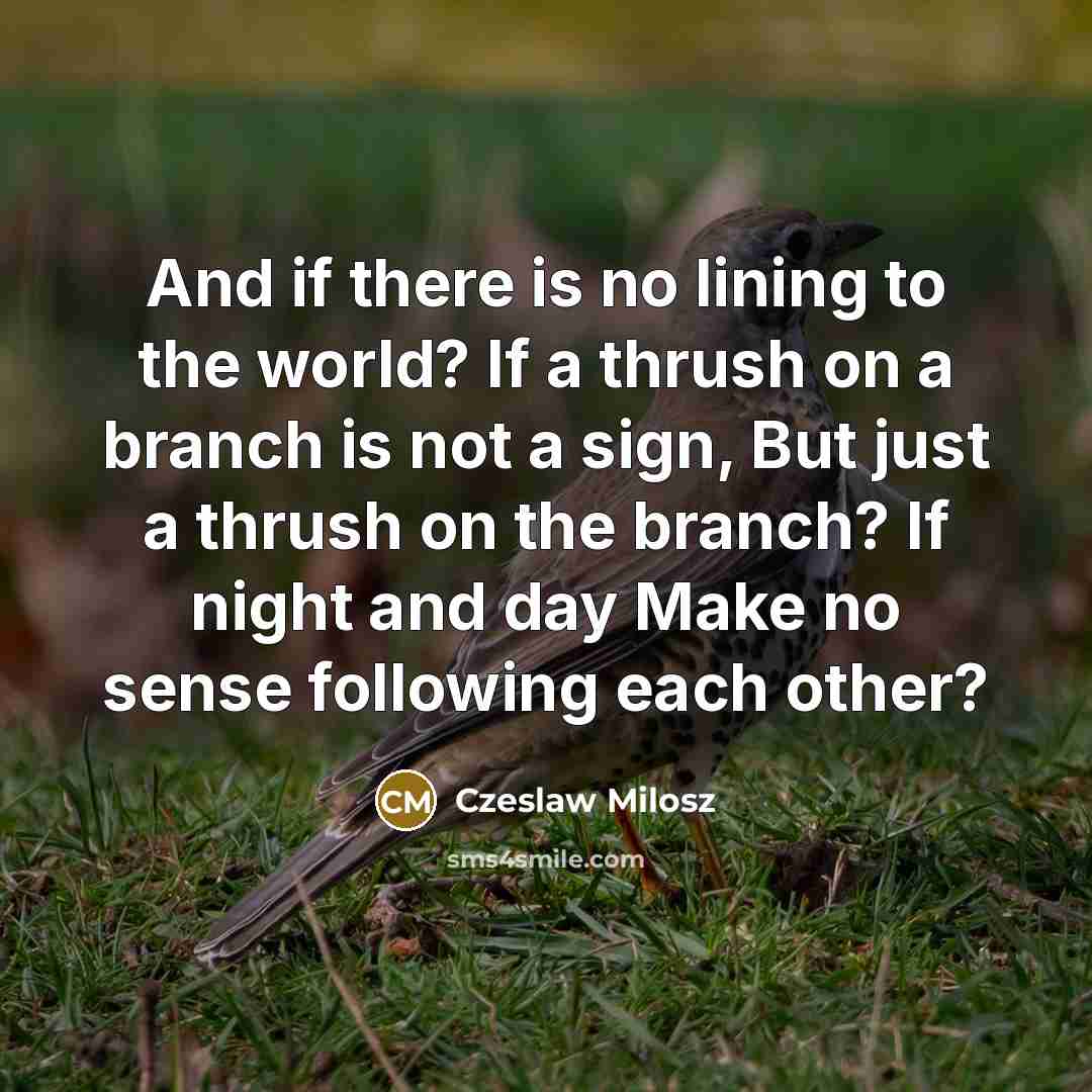 “And if there is no lining to the world? If…” quote by Czeslaw Milosz