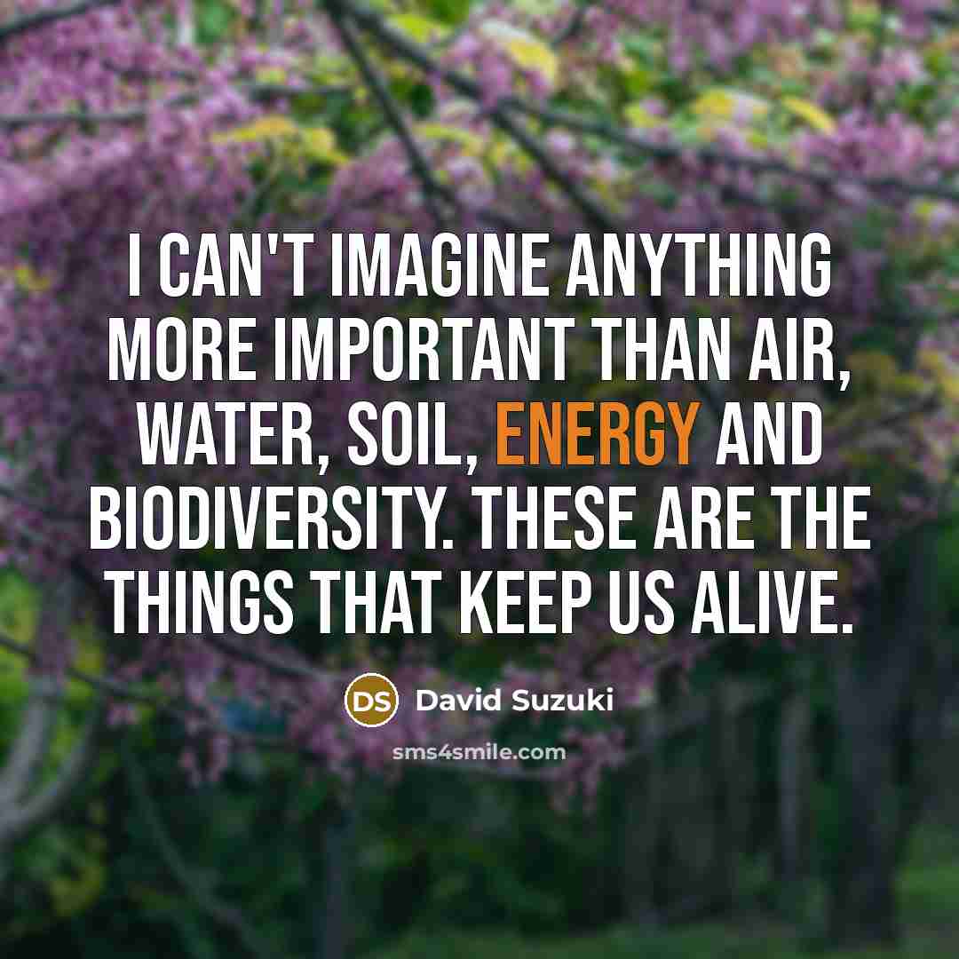 “I can't imagine anything more important than air, water, soil,…” quote by David Suzuki