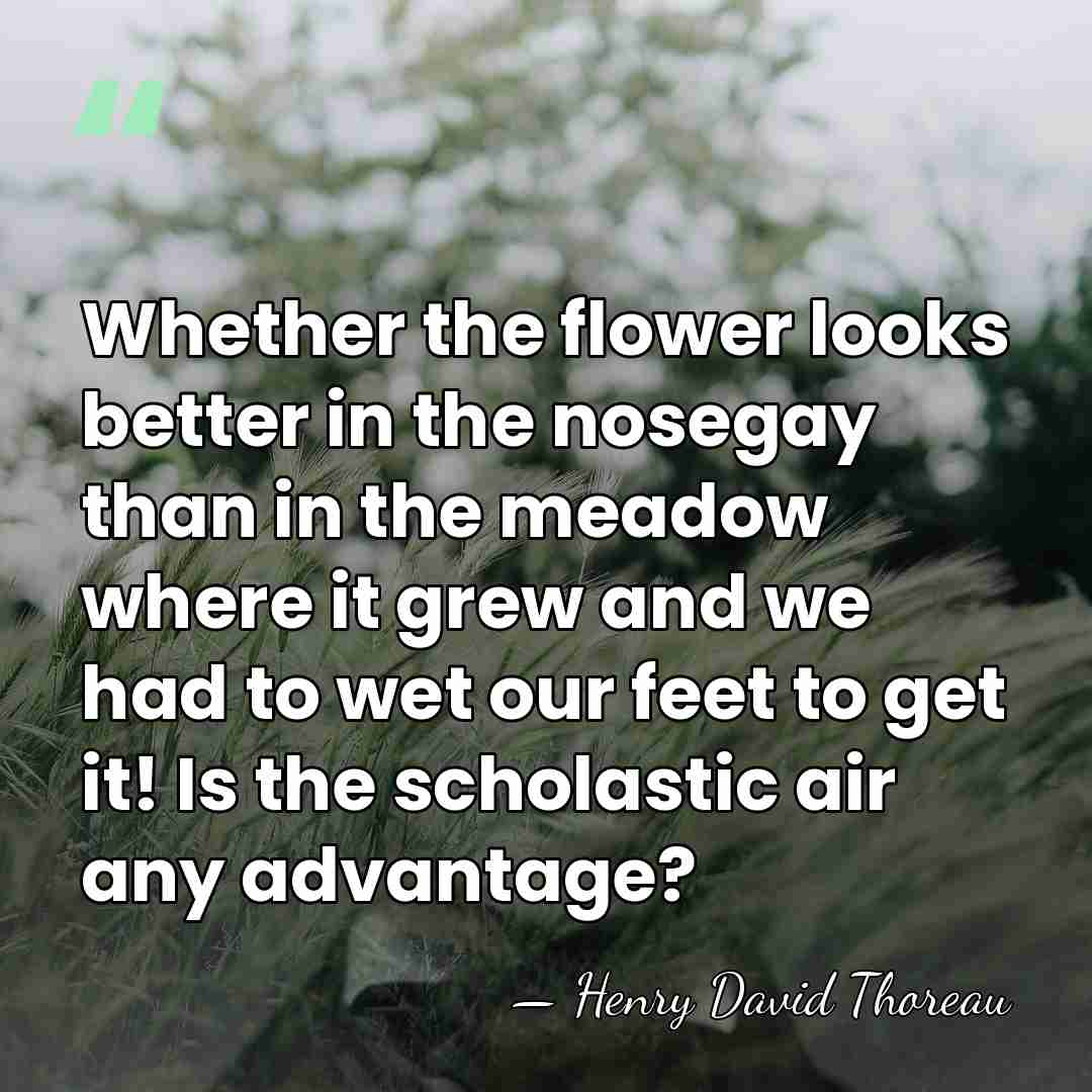 Whether the flower looks better in the nosegay than in the meadow&hellip; - Henry David Thoreau