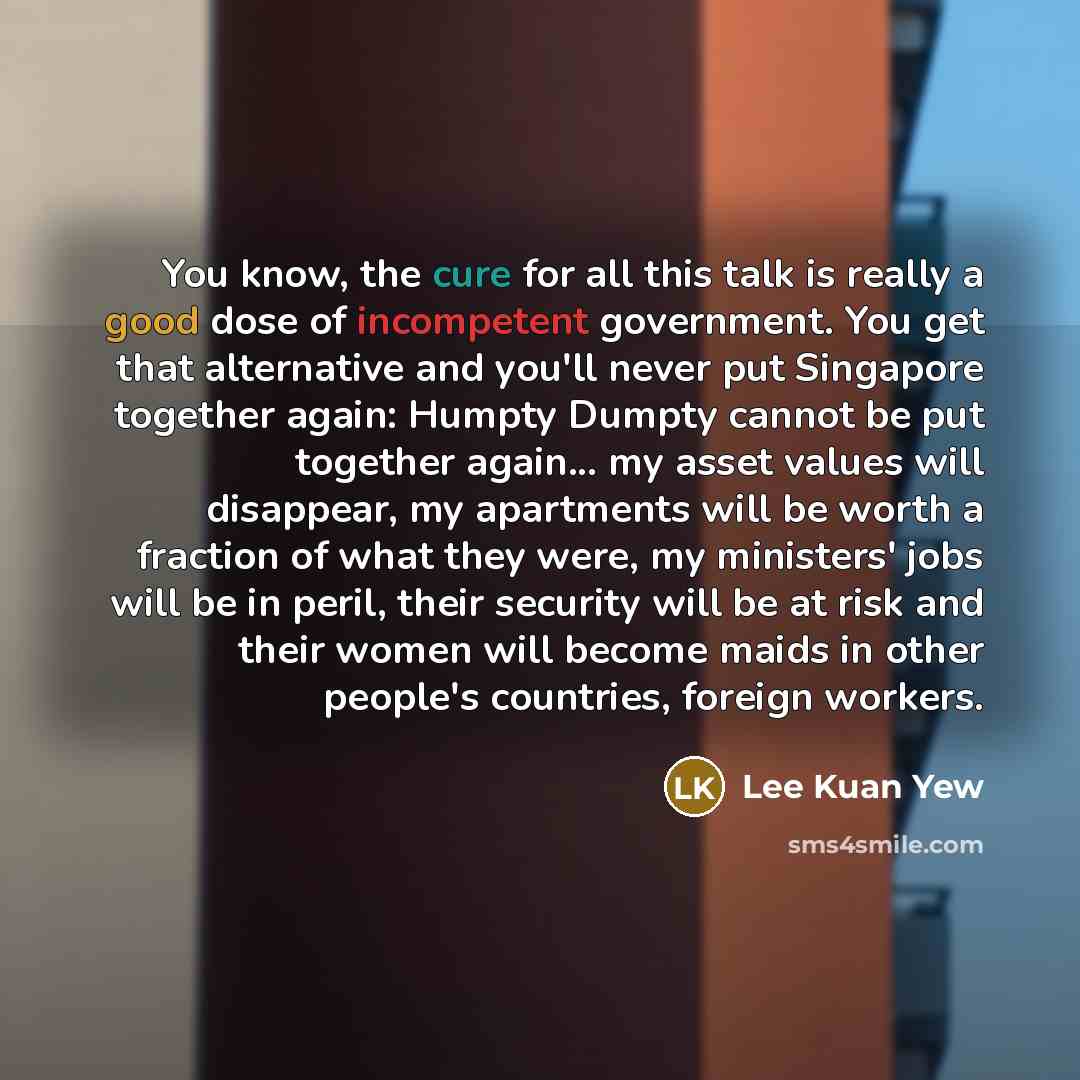“You know, the cure for all this talk is really…” quote by Lee Kuan Yew