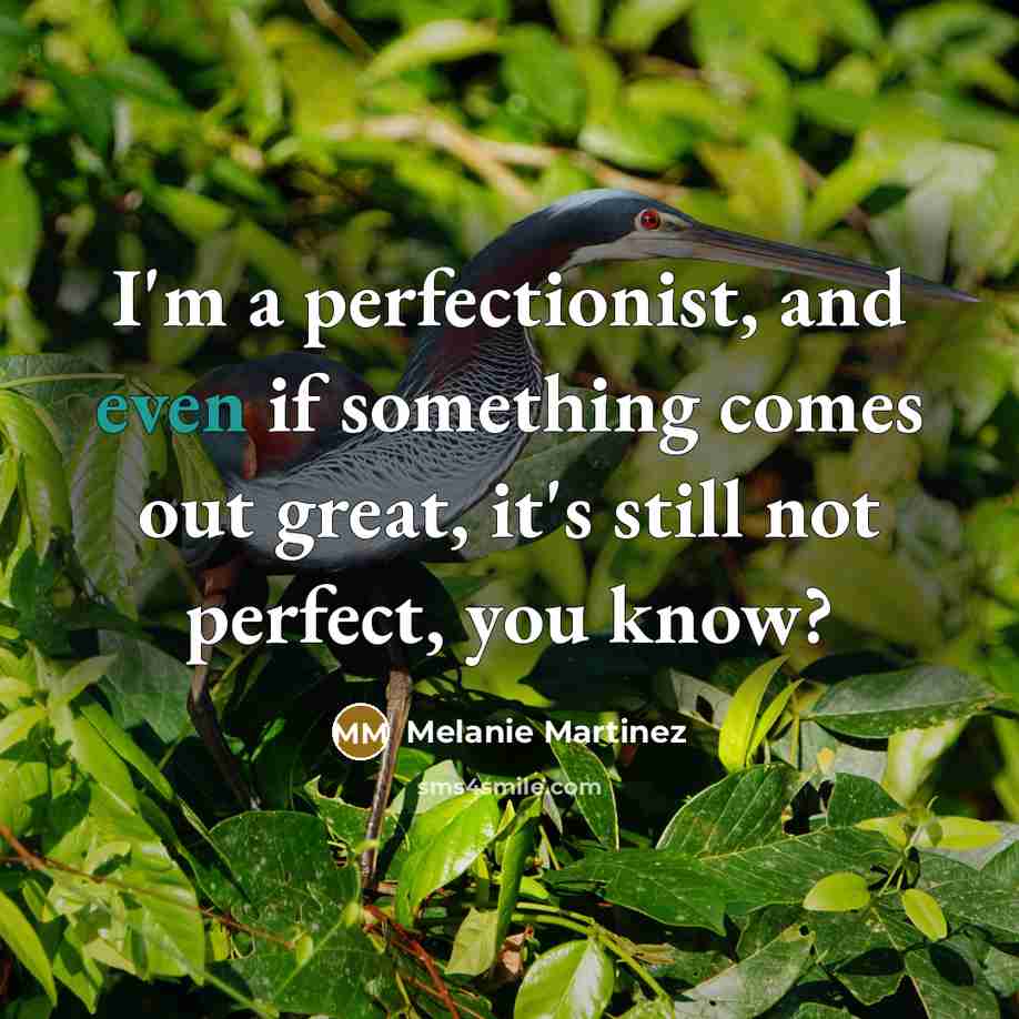 “I'm a perfectionist, and even if something comes out great,…” quote by Melanie Martinez