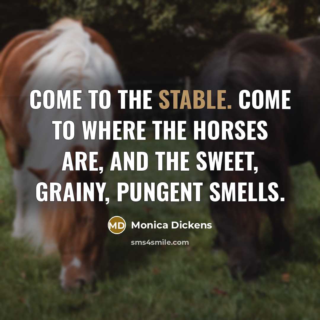 “Come to the stable. Come to where the horses are,…” quote by Monica Dickens