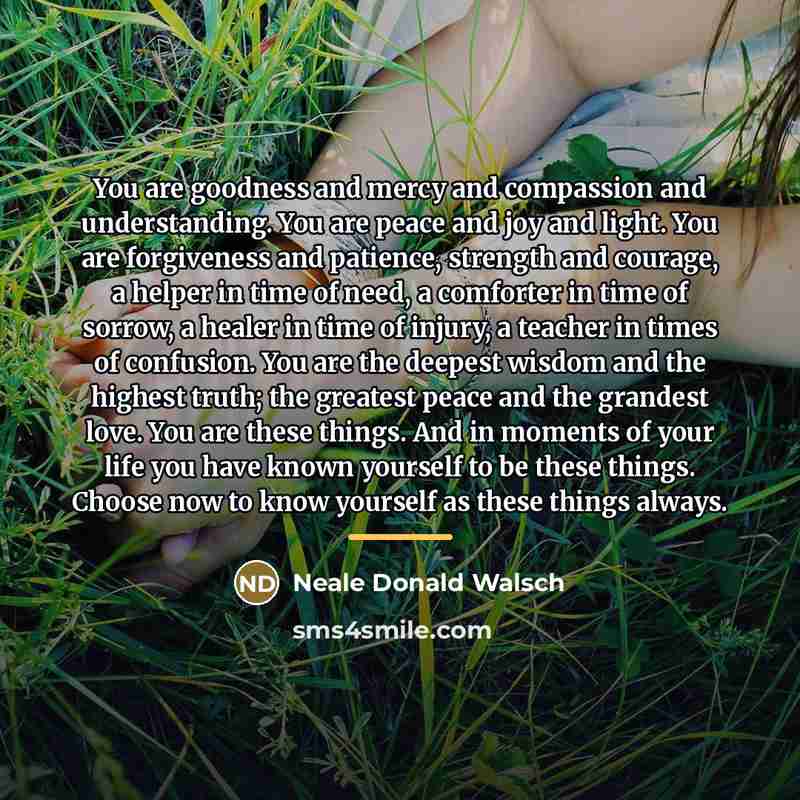 “You are goodness and mercy and compassion and understanding. You…” quote by Neale Donald Walsch